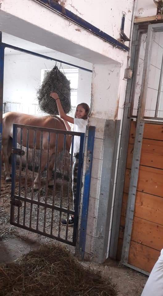Kind beim Arbeiten im Pferdestall