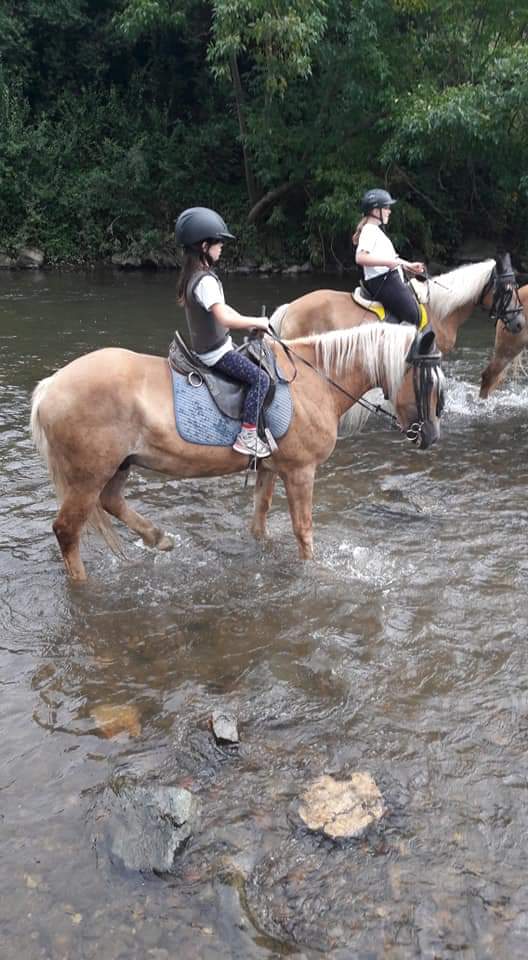 Kinder mit Pferden im Wasser