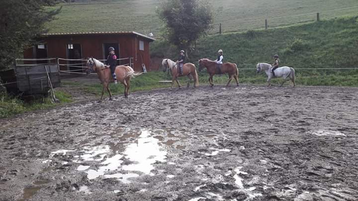 Reitplatz für Reitunterricht am Haflingerhof mit Pferden